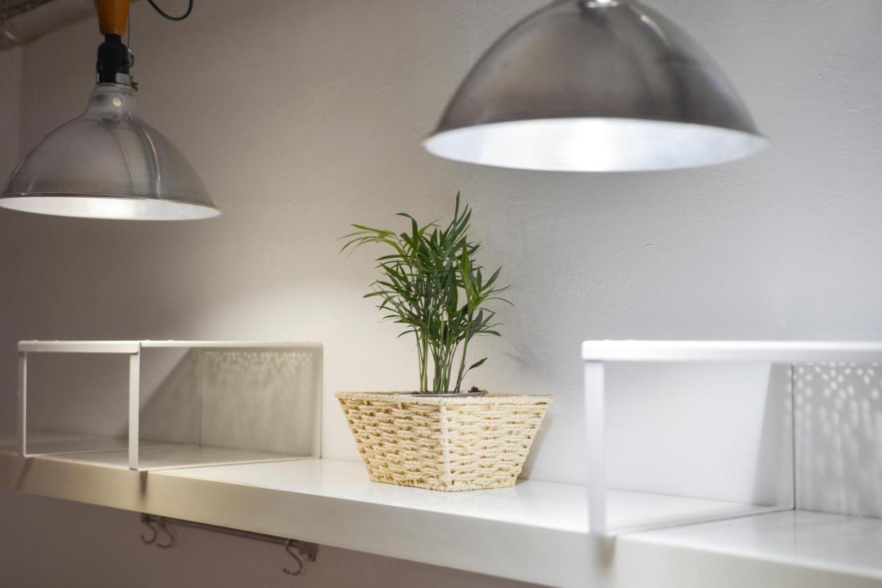San Pierino Apartment 佛罗伦萨 外观 照片